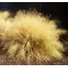 Rožinė miglonė - Muhlenbergia capillaris