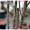 Paprastasis šaltekšnis (šunobelė) - Rhamnus frangula FASTIGIATA