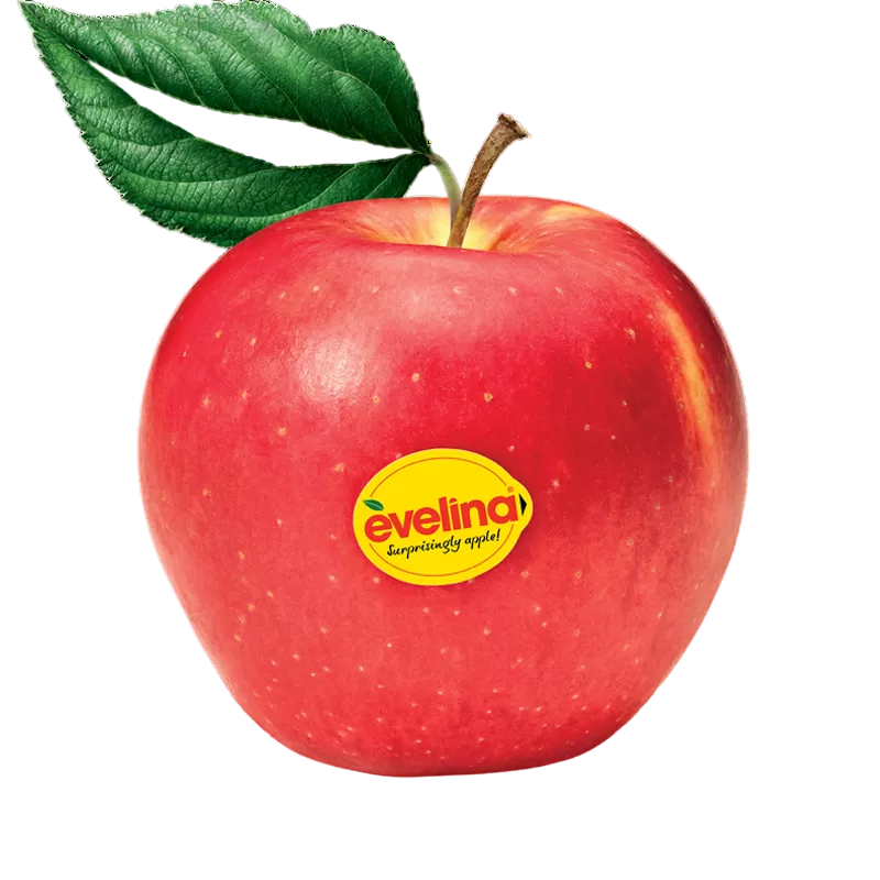 Užsisakyk augalus pavasariui jau dabar