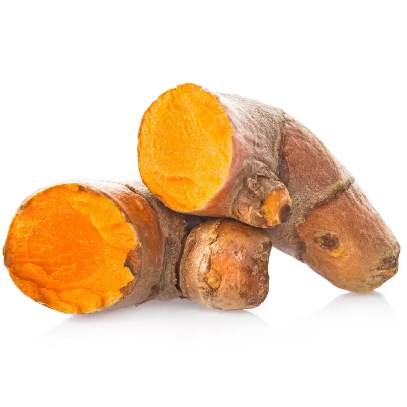 Egzotiniai augalai internetu