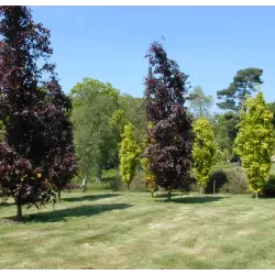 Paprastasis bukas internetu į namus Vitaflora.lt