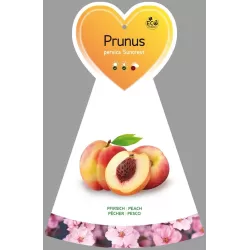 Persikai ir nektarinai internetu su pristatymu į namus