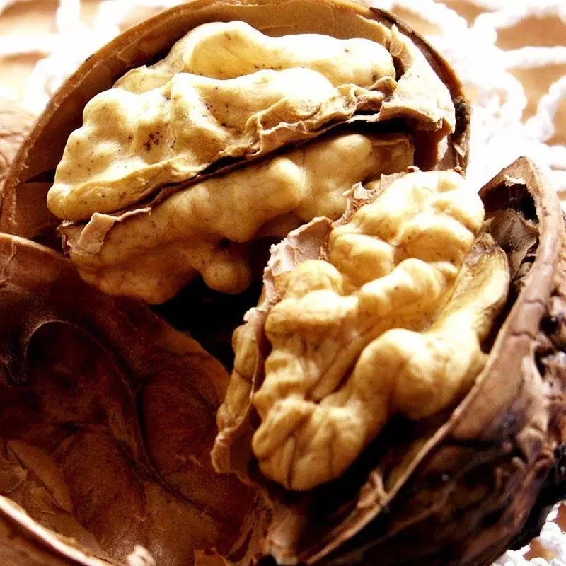 Graikinis riešutmedis - Juglans regia BROADVIEW