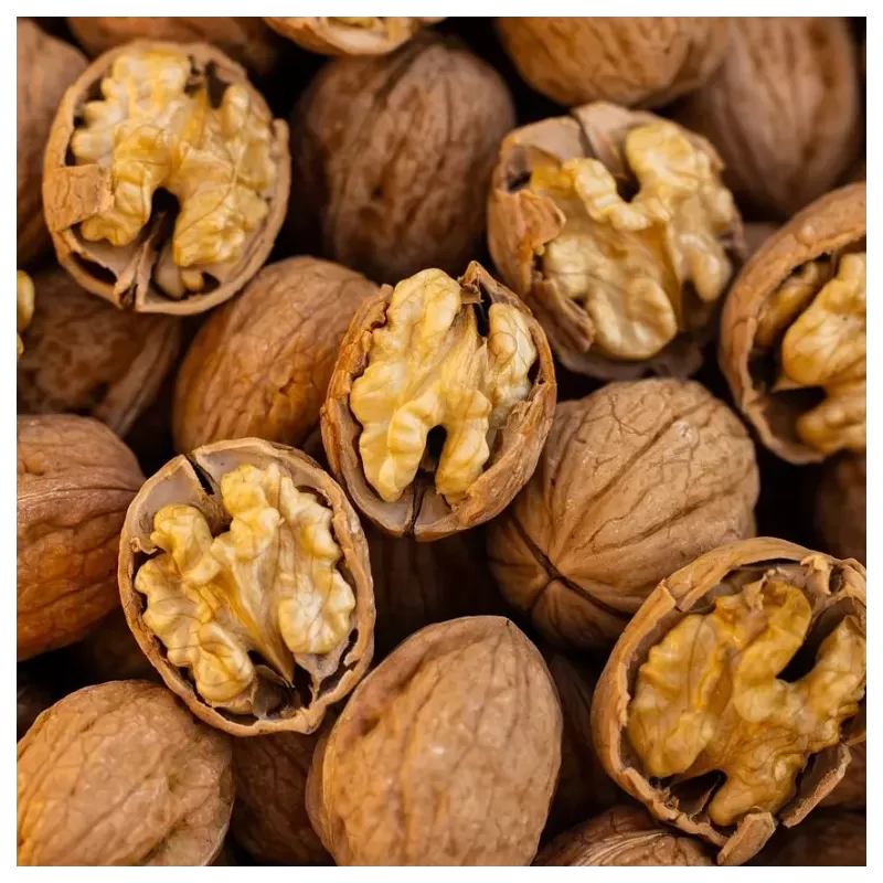 Graikinių riešutmedžių sodinukai su pristatymu į namus