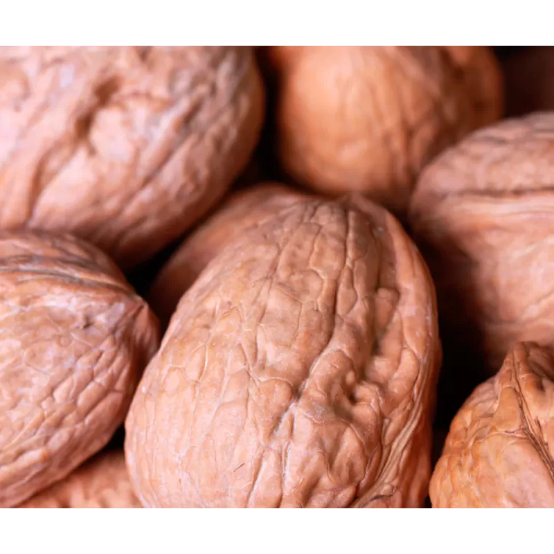 Graikinių riešutmedžių sodinukai su pristatymu į namus