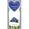 Aukštoji šilauogė (vid. vėl.) - Vaccinium corymbosum BLUECROP