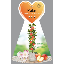 Žagarės sodų vaismedžiai internetu su pristatymu į namus