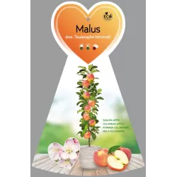 Žagarės sodų vaismedžiai internetu su pristatymu į namus