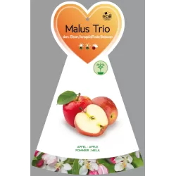 Obelų sodinukai internetu su pristatymu į namus