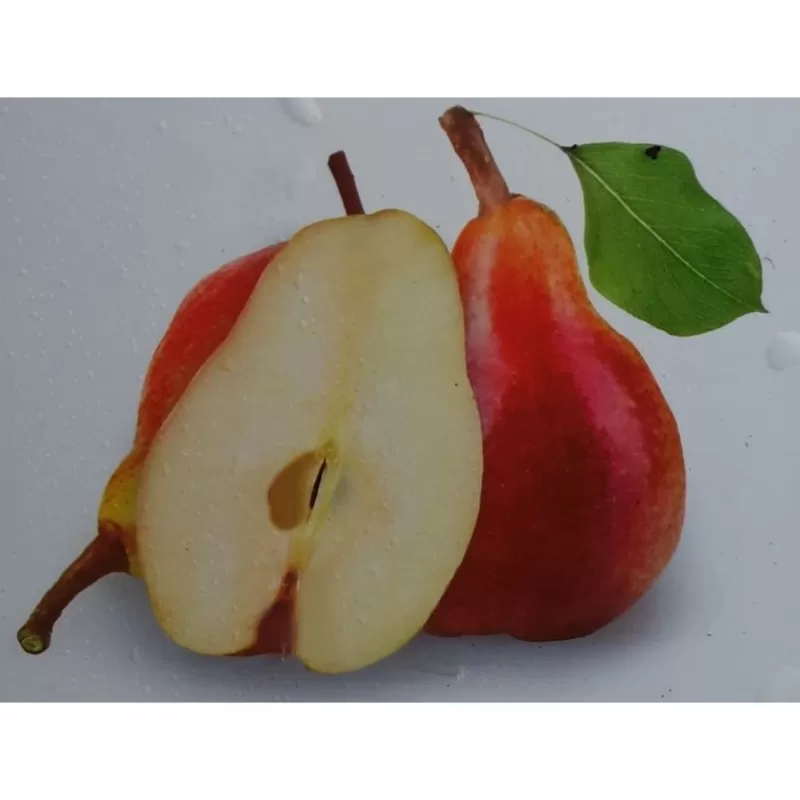 Pyrus communis (patio) LOUISA