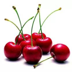 Vyšnia (nykštukinė) - Prunus cerasus (patio) MORELLO