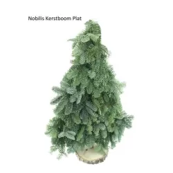ABIES NOBILIS BLAUW (110707) 40 cm