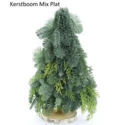 ABIES NOBILIS BLAUW  (110707) 50cm