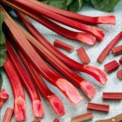 Rhubarb - Rheum rhabarbarum