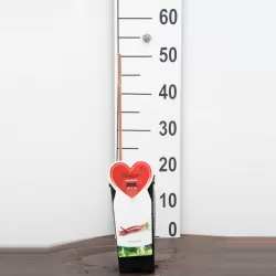 Rhubarb - Rheum rhabarbarum