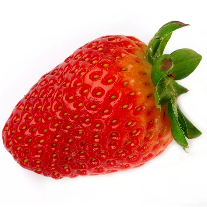 Braškė - Fragaria CIFLORETTE (labai ankstyva)