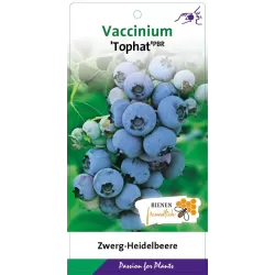 Šilauogė (siauralapė arktinė) - Vaccinium angustifolium TOPHAT