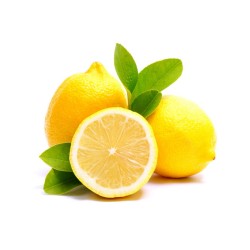Citrinmedis - Citrus limon CITROEN