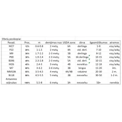 Naminė obelis - Malus domestica RUBINSTAR
