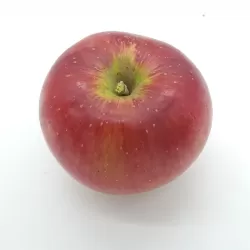 Malus domestica RAJKA
