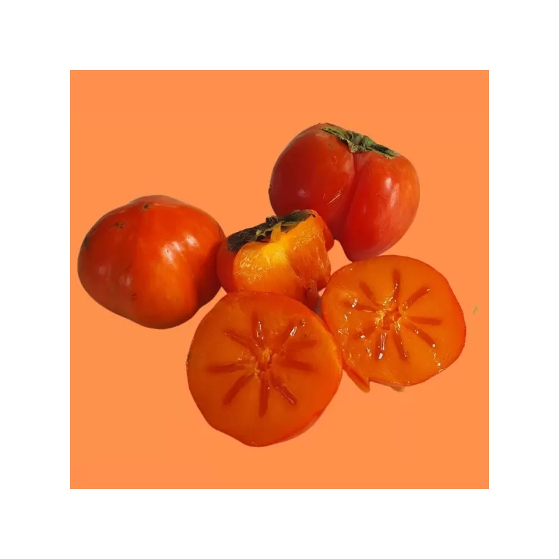 Rytinis (japoninis) juodmedis (persimonas) - Diospyros kaki 20TH CENTURY