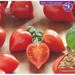 Pomidoriukai - Lycopersicon HEARTBREAKERS DORA