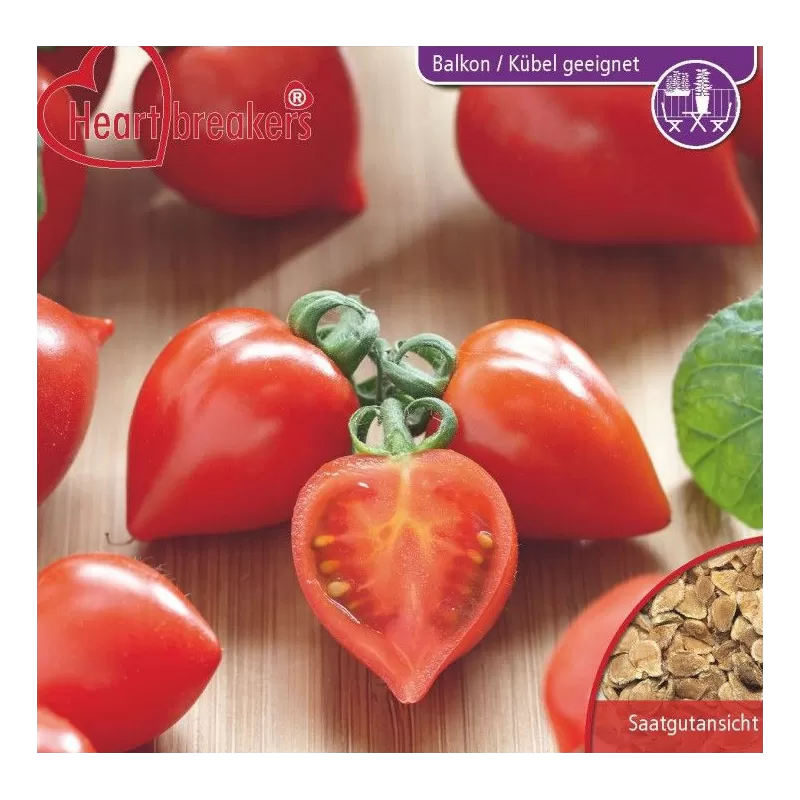 Lycopersicon HEARTBREAKERS DORA