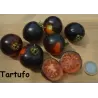 Lycopersicon TARTUFO