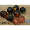 Lycopersicon TARTUFO