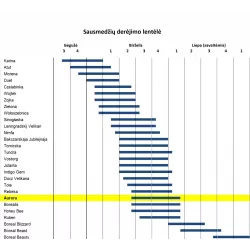 Kamčatkinis sausmedis - Lonicera caerulea kamtschatica LENINGRADSKIJ VELIKAN