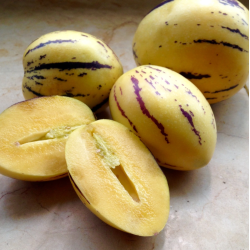 Ežinė kiauliauogė - Solanum muricatum