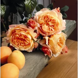 ROŽĖ - ROSA CAPRI ®