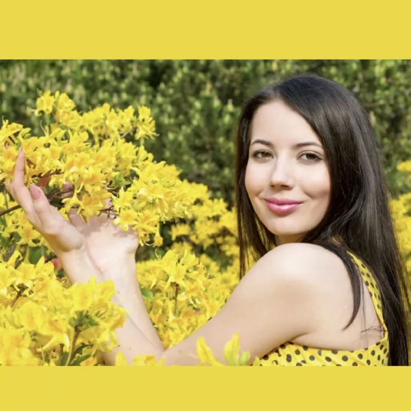 Rhododendron luteum AZALEA PONTICA