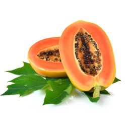Papaja - Carica papaya