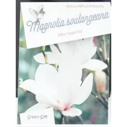 Garden plants/Trees/Flowers/ web-shop