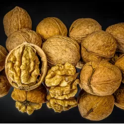 Graikinis riešutmedis - Juglans regia BUCCANEER
