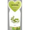 Aktinidija - Actinidia deliciosa ATLAS (VYR.)