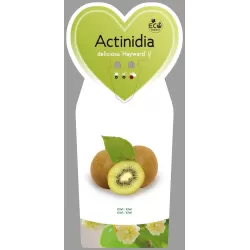 E-medelynas internete: vaismedžiai ir vaiskrūmiai