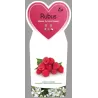 Raspberry - Rubus idaeus AROMA QUEEN