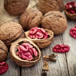 Graikinis riešutmedis - Juglans regia ROBERT LIVERMORE