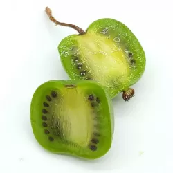 Smailialapė aktinidija - Actinidia arguta DOMINO (mot.)
