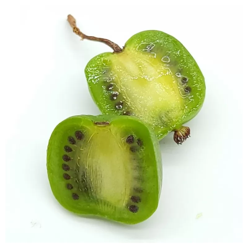 E-medelynas internete: vaismedžiai ir vaiskrūmiai