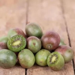 E-medelynas internete: vaismedžiai ir vaiskrūmiai