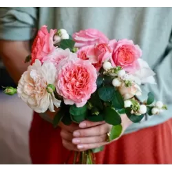 Rožė - Rosa LAURENT CABROL