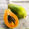 Carica papaya SUNNY BEES
