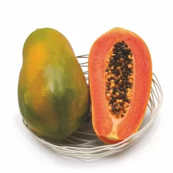 Carica papaya SUNNY BEES