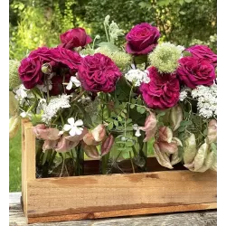 Rosa DEEP SECRET