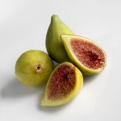 Skiautėtalapis fikusas (figmedis) - Ficus carica 'Brown Turkey' P11/C1 SBC