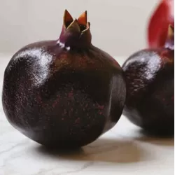 E-medelynas internete: vaismedžiai ir vaiskrūmiai