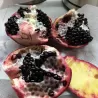 Granatmedis - Punica granatum MELOGRANO NERO